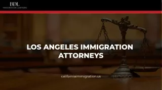 Find the best Los Angeles immigration attorneys online at Brian D Lerner