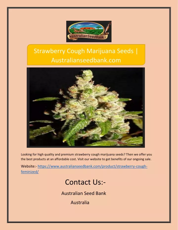 PPT - Strawberry Cough Marijuana Seeds | Australianseedbank.com ...