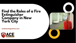 Find the Roles of a Fire Extinguisher Company in New York City