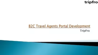 b2c travel agents portal development