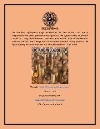 get the best high quality magic mushrooms