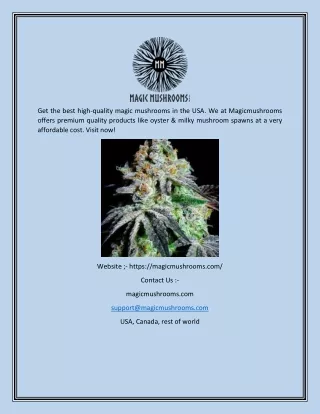 get the best high quality magic mushrooms