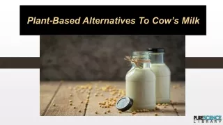 Plant Based Alternatives to Cow Milk