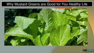 Why Mustard Greens are Good for You Health