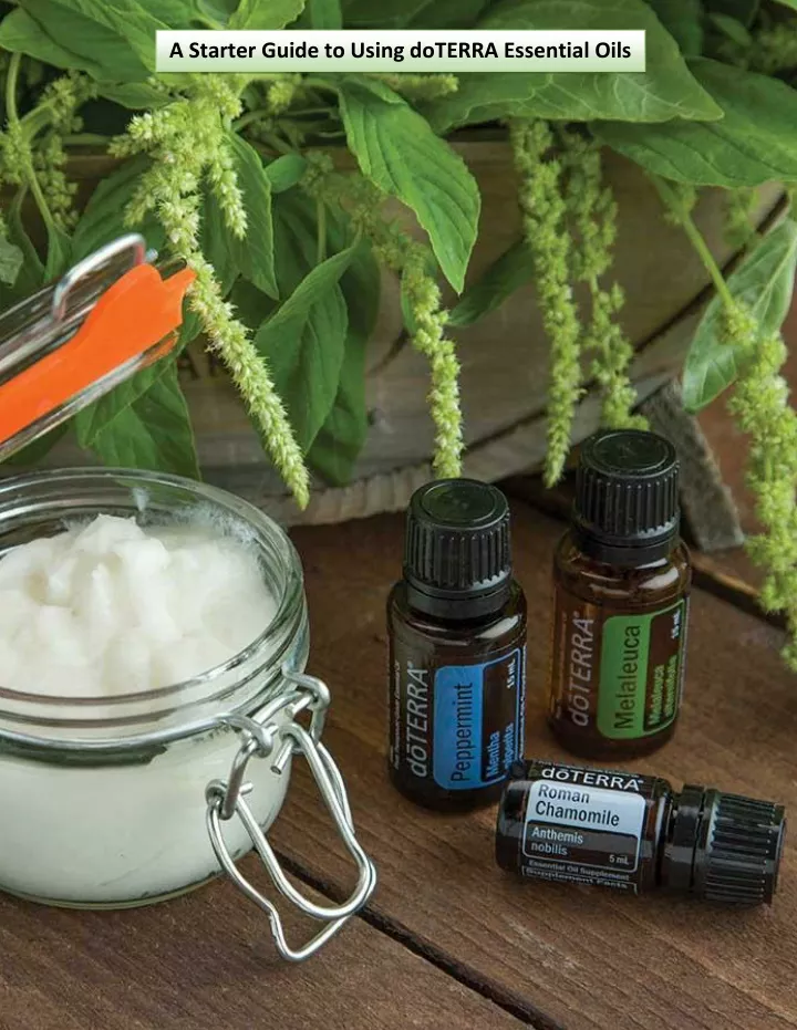 a starter guide to using doterra essential oils