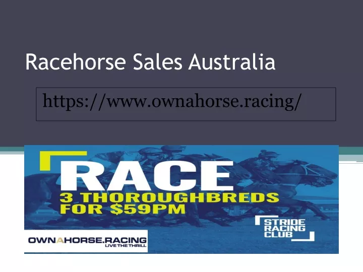 racehorse sales australia