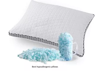 b est hypoallergenic pillows