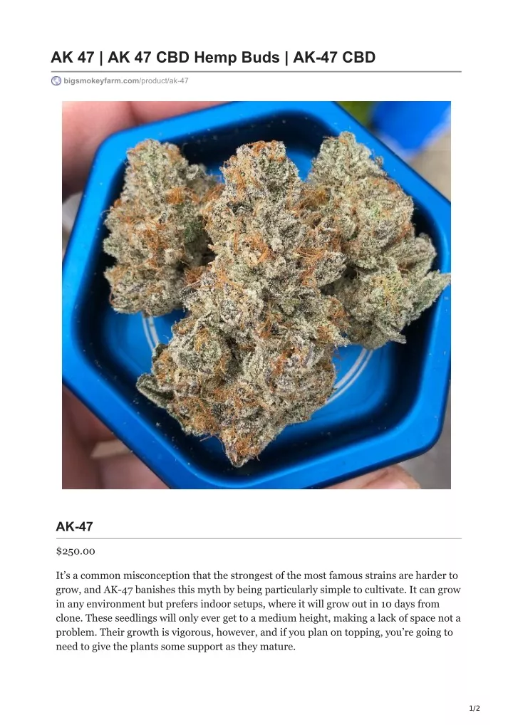 ak 47 ak 47 cbd hemp buds ak 47 cbd