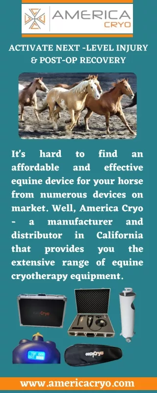 Equine Cryotherapy Equipment