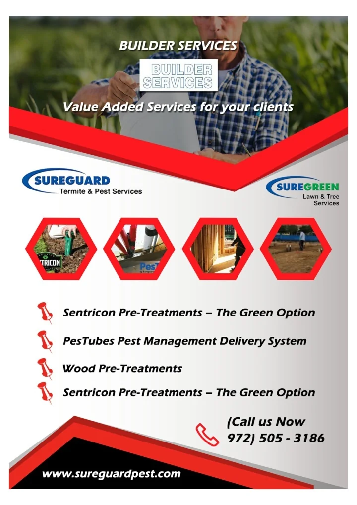 PPT Dallas termite control company Dallas pest control PowerPoint