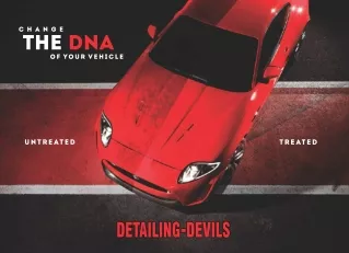 Detailing Devils Product Catalogue
