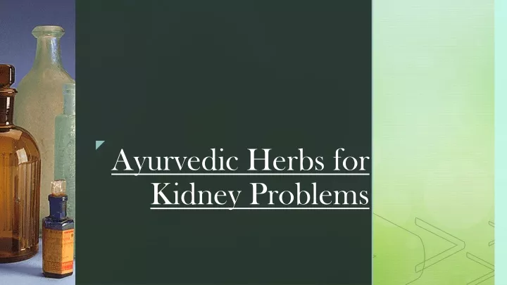 ayurvedic h erbs for kidney problems