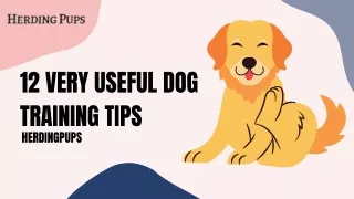 12 Very Useful Dog Training Tips | Herdingpups