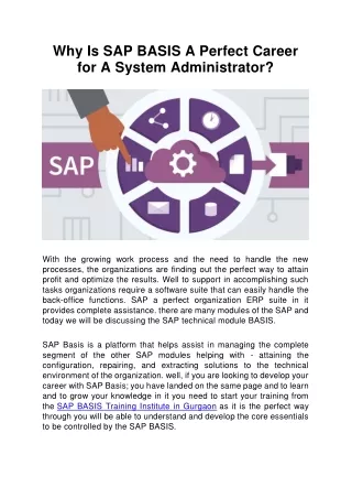 why is sap basis a perfect career for a system