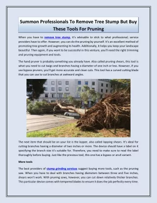 summon professionals to remove tree stump
