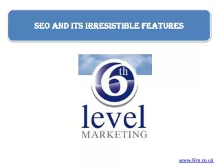 SEO and its irresistible features