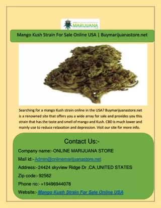 Mango Kush Strain For Sale Online USA  Buymarijuanastore.net