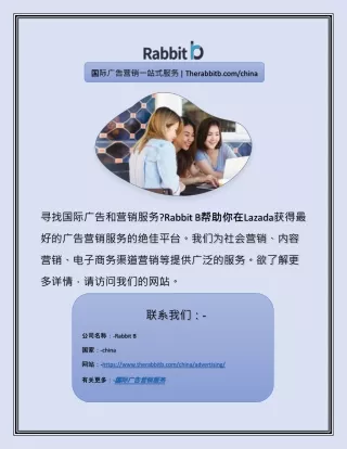 therabbitb com china