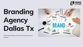 Branding Agency Dallas Tx | Enormous Elephant