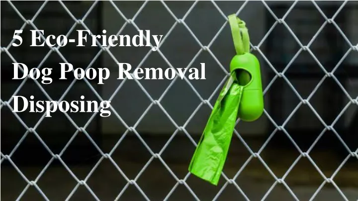 5 eco friendly dog poop removal disposing