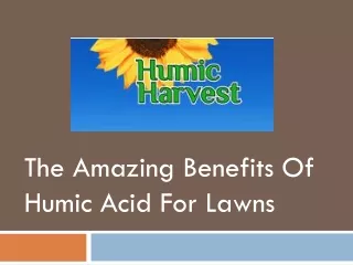 The Amazing Benefits Of Humic Acid For Lawns