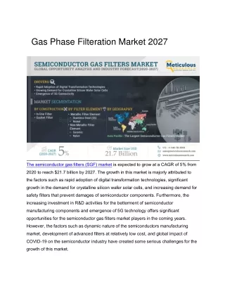 gas phase filteration market