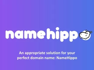 An appropriate solution for your perfect domain name - NameHippo