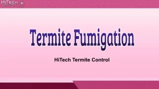 Termite Fumigation in Bay Area