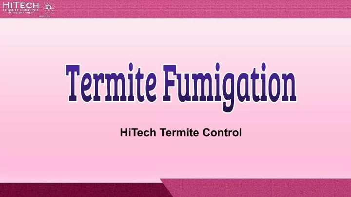 hitech termite control