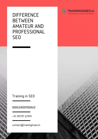 difference between amateur and professional seo