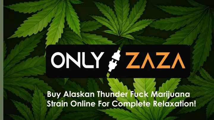 buy alaskan thunder fuck marijuana strain online for complete relaxation