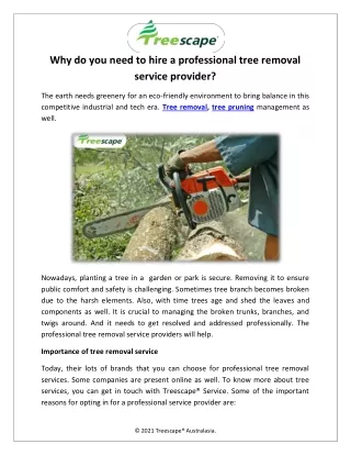Why do you need to hire a professional tree removal service provider