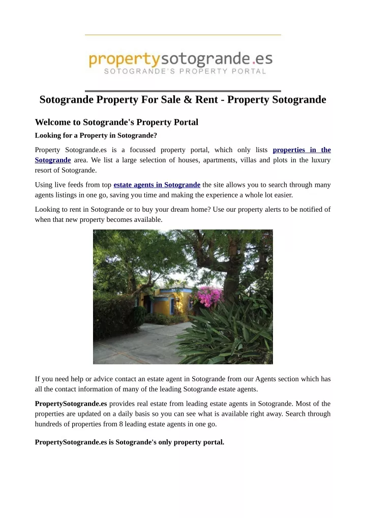 sotogrande property for sale rent property