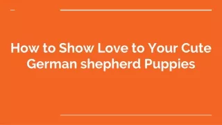 How to Show Love to Your Cute German shepherd Puppies