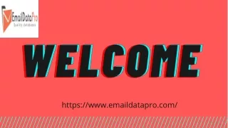 https www emaildatapro com
