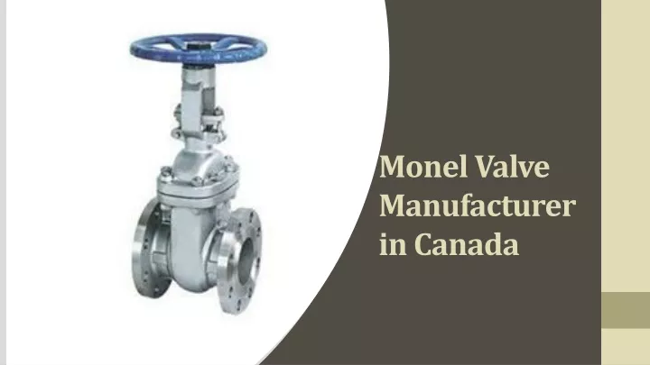 monel valve manufacturer in canada