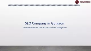 SEO Company in Gurgaon- Piiwebtech