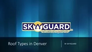 Roof Types in Denver