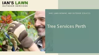 Tree Services Perth | Lawn Mowing Perth