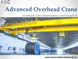 Top 5 Overhead Crane supply and services in USA