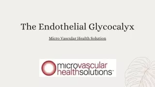 Endothelial Glycocalyx