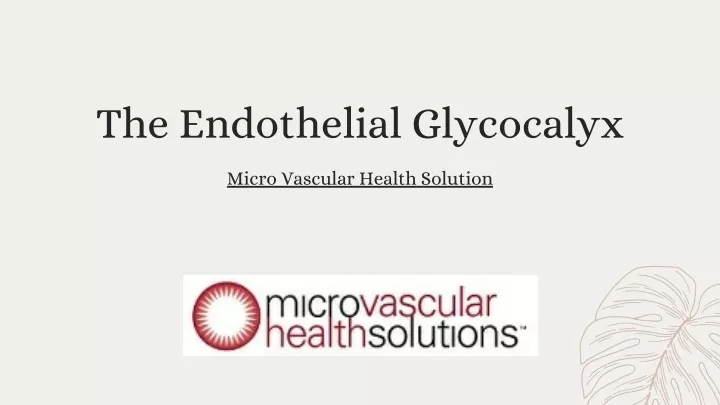 the endothelial glycocalyx