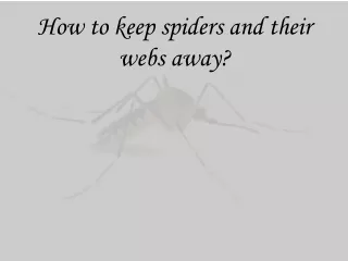how to keep spiders and their webs away