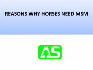 msm for horses,msm20-40 at Hansenmsm