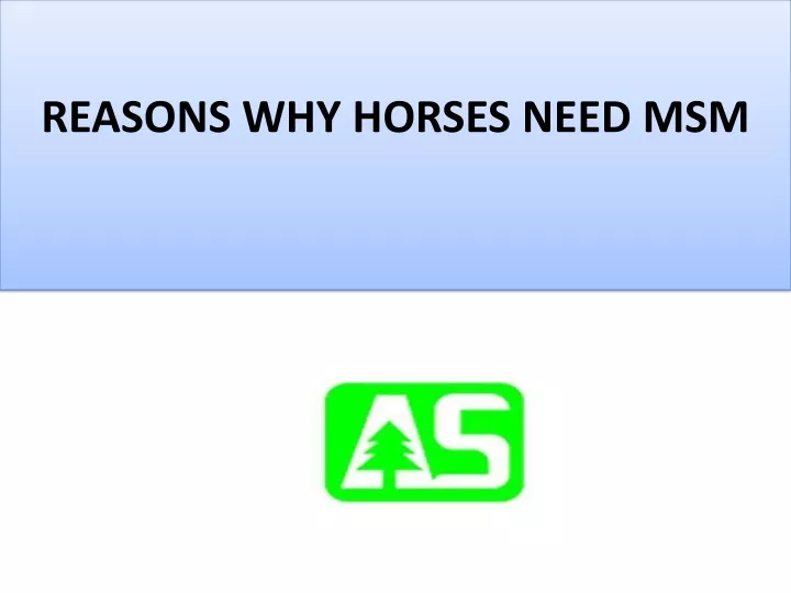 reasons why horses need msm