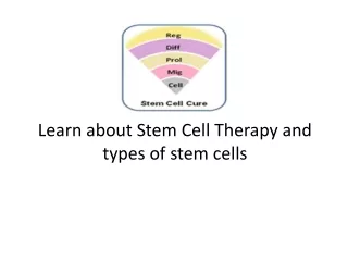Learn about Stem Cell Therapy and types of stem cells