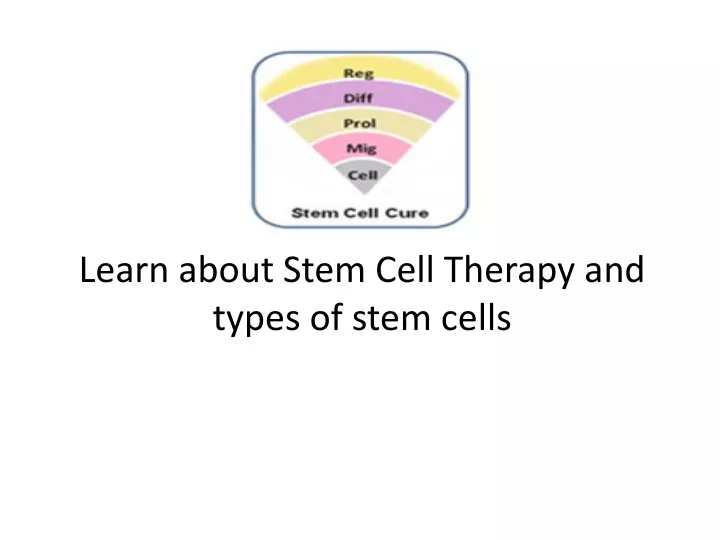 learn about stem cell therapy and types of stem cells