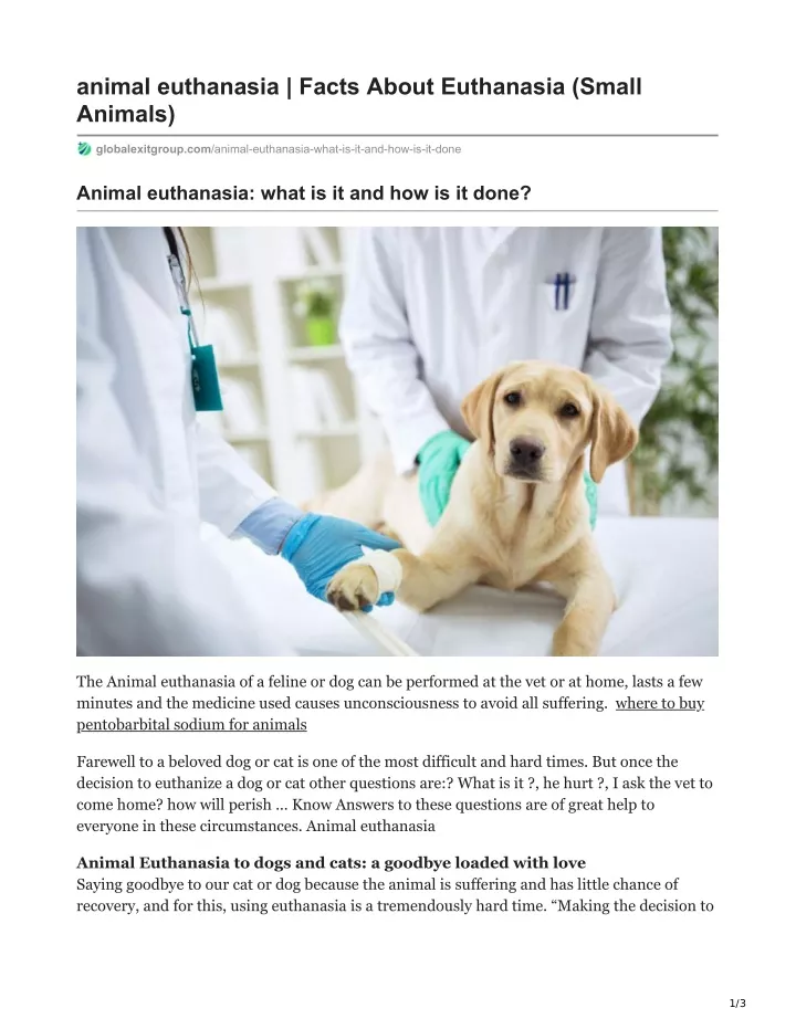 animal euthanasia facts about euthanasia small