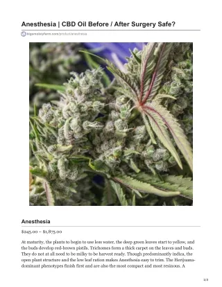 anesthesia cbd oil before after surgery safe