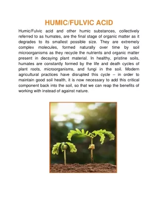 humic fulvic acid humic fulvic acid and other